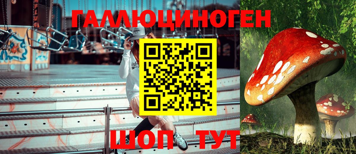 Псилоцибиновые грибы Psilocybe  Вход с VPN  Ипатово 