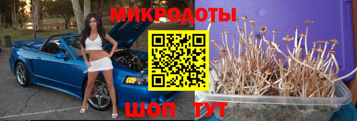 COCAIN Ипатово