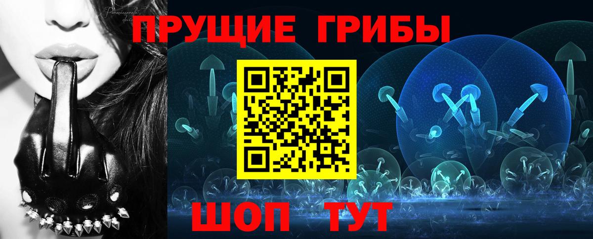 Галлюциногенные грибы Psilocybe Ипатово